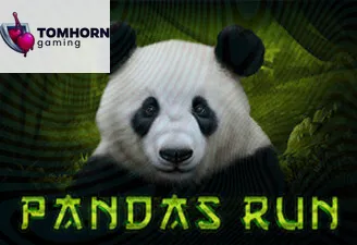 Pandas Run